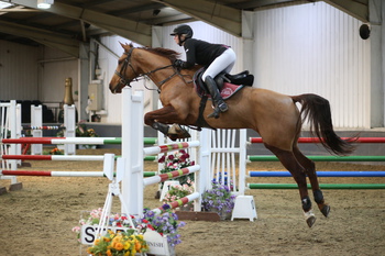 SEIB Winter Novice Championship Qualifier at The College Equestrian Centre, Keysoe